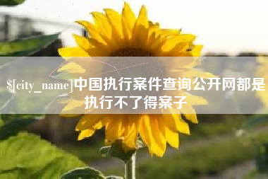 双鸭山中国执行案件查询公开网都是执行不了得案子