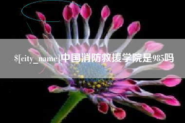 双鸭山中国消防救援学院是985吗