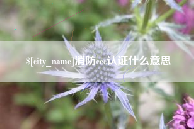 双鸭山消防ccc认证什么意思