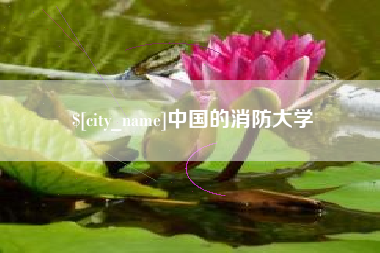 双鸭山中国的消防大学