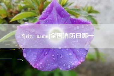 双鸭山全国消防日哪一