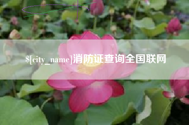 双鸭山消防证查询全国联网