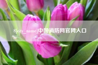 双鸭山中国消防网官网入口