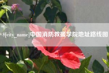 双鸭山中国消防救援学院地址路线图