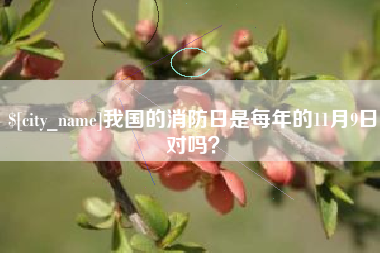 双鸭山我国的消防日是每年的11月9日对吗？