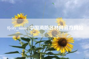 双鸭山中国消防器材网官方网站