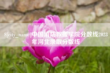 双鸭山中国消防救援学院分数线2023年河北录取分数线