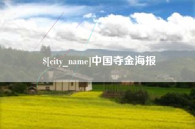 双鸭山中国夺金海报