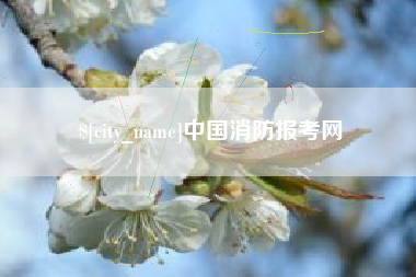 双鸭山中国消防报考网