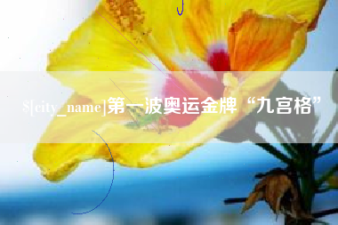双鸭山第一波奥运金牌“九宫格”