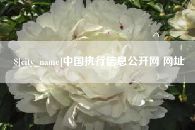 双鸭山中国执行信息公开网 网址