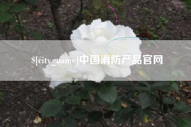 双鸭山中国消防产品官网