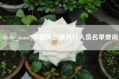 双鸭山中国失信被执行人员名单查询