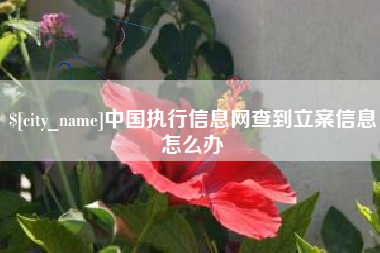 双鸭山中国执行信息网查到立案信息怎么办