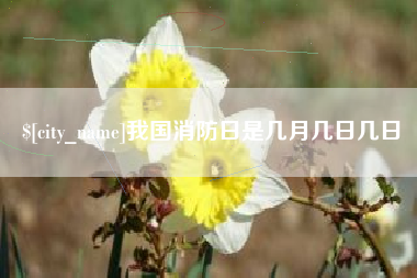 双鸭山我国消防日是几月几日几日