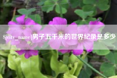 双鸭山男子五千米的世界纪录是多少