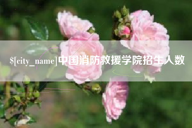 双鸭山中国消防救援学院招生人数