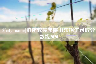 双鸭山消防救援学院山东招生录取分数线2020