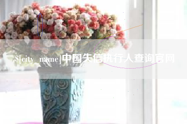 双鸭山中国失信执行人查询官网