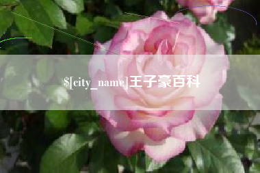 双鸭山王子豪百科