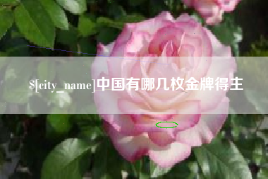 双鸭山中国有哪几枚金牌得主