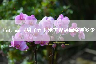 双鸭山男子五千米世界冠军奖金多少
