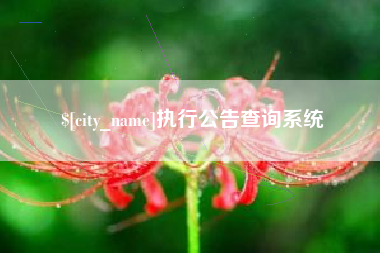 双鸭山执行公告查询系统