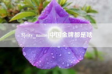 双鸭山中国金牌都是啥