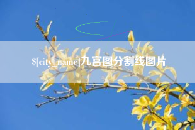 双鸭山九宫图分割线图片