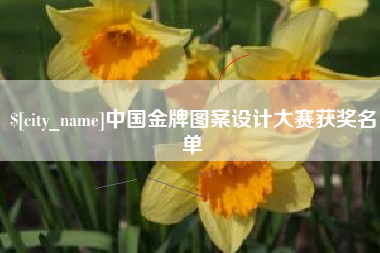 双鸭山中国金牌图案设计大赛获奖名单