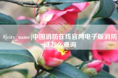 双鸭山中国消防在线官网电子版消防证怎么查询