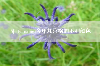 双鸭山今年九宫格的不利颜色
