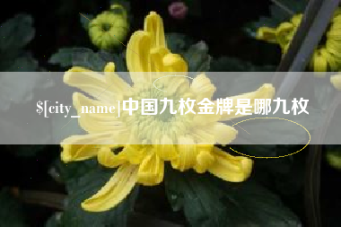 双鸭山中国九枚金牌是哪九枚