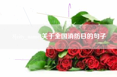 双鸭山关于全国消防日的句子