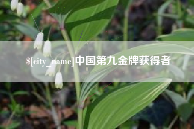 双鸭山中国第九金牌获得者