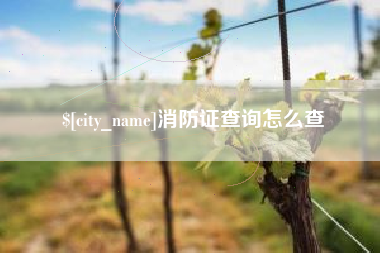 双鸭山消防证查询怎么查