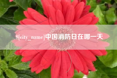 双鸭山中国消防日在哪一天