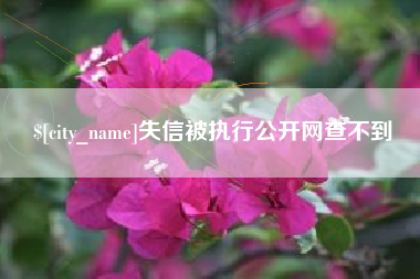 双鸭山失信被执行公开网查不到