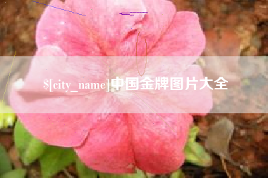 双鸭山中国金牌图片大全