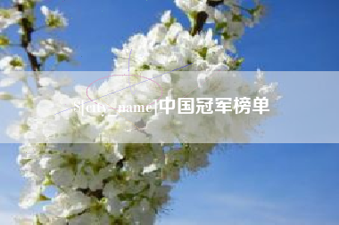 双鸭山中国冠军榜单