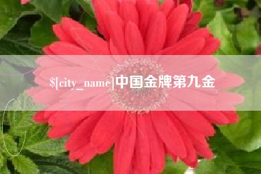 双鸭山中国金牌第九金