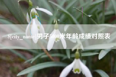 双鸭山男子5000米年龄成绩对照表