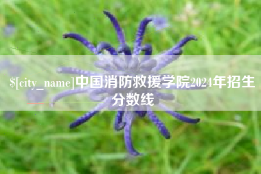 双鸭山中国消防救援学院2024年招生分数线