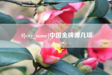 双鸭山中国金牌哪几项