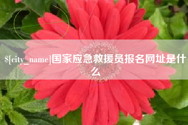 双鸭山国家应急救援员报名网址是什么
