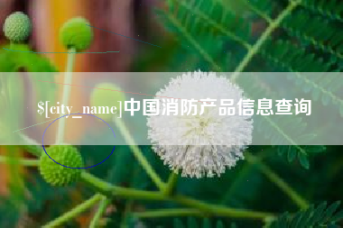 双鸭山中国消防产品信息查询