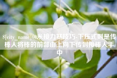 双鸭山60米接力赛技巧-下压式则是传棒人将棒的前部由上向下传到接棒人手中