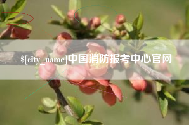 双鸭山中国消防报考中心官网