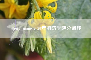 双鸭山2020年消防学院分数线