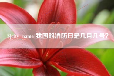 双鸭山我国的消防日是几月几号？